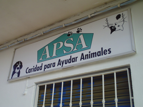 animal-charity-shop