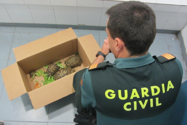Photo: Spain's Guardia Civil.