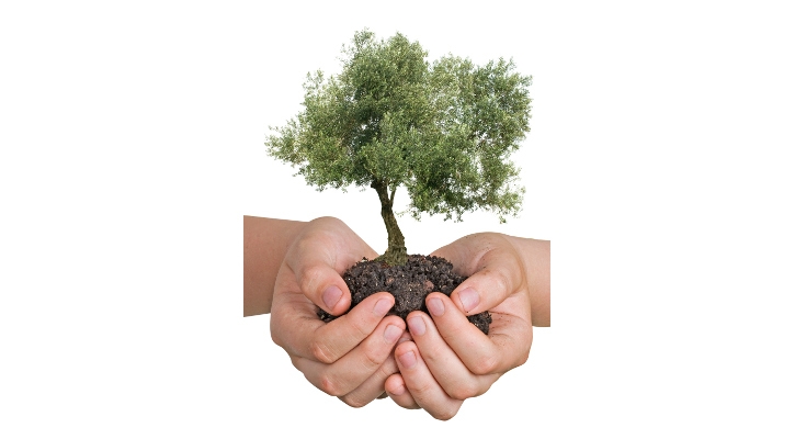 Bigasto Launches ‘Adopt A Tree’ Campaign