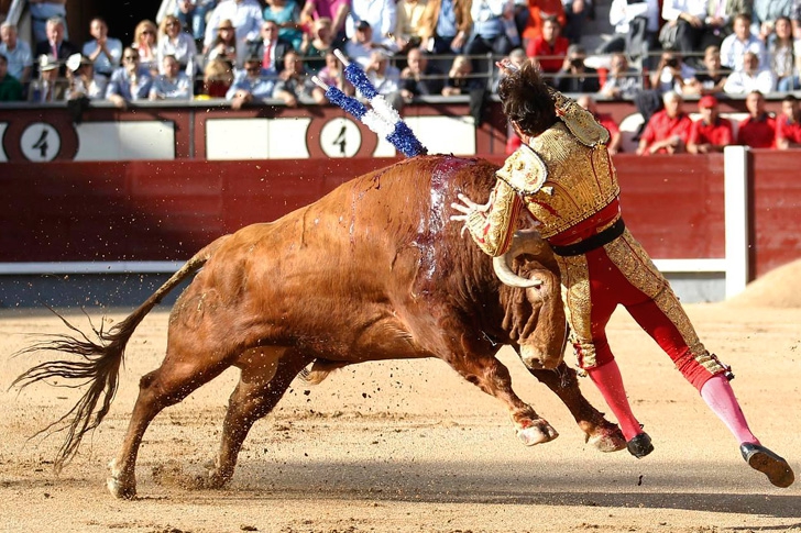 Bullfighting Cannot Be Classed As A Work Of Art