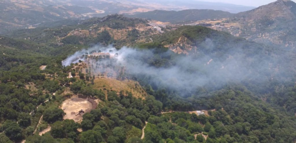 Rapid action stops Malaga forest fire spreading