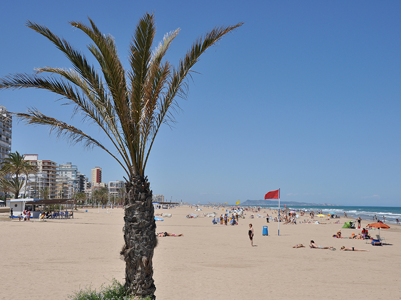 Popular Palma beaches shut by sewage in Mallorca