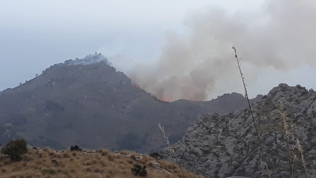 Worst forest fire in Mallorca so far this year
