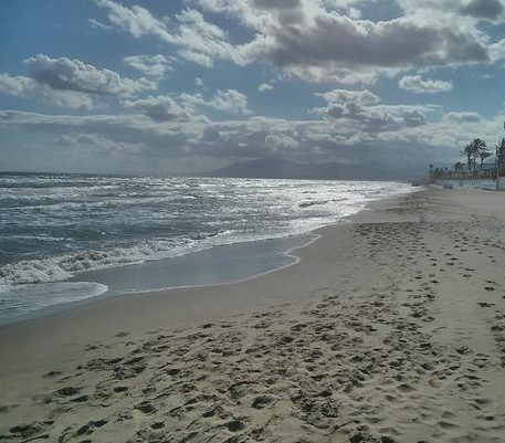BODY FOUND: Beach cleaners discovered the body of a woman at Los Monteros beach