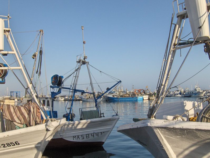 Shipowners in Andalucia estimate losses of €3m during fishermen's strike
