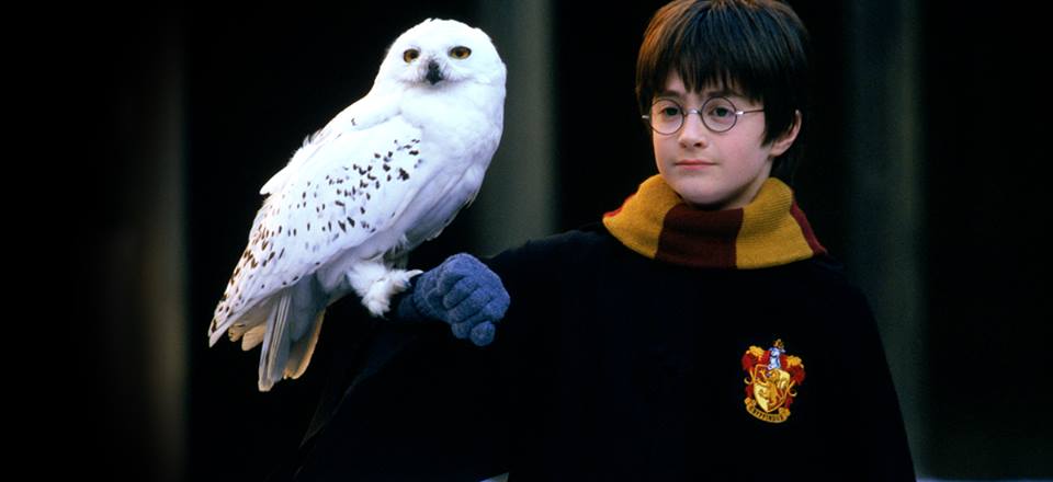 Harry Potter Star Speaks Out In Defence Of Transgender Community