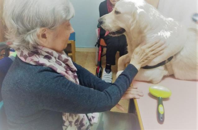 Dog therapy for senior citizens in Calvià