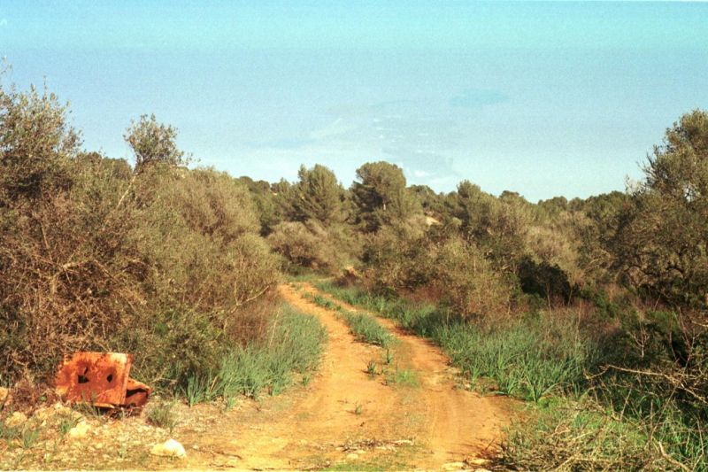 Body found by walker in Puntiró