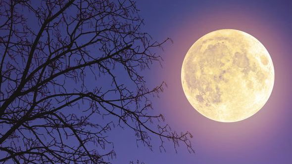 Rare Pink Supermoon Will Be Visible Throughout Spain