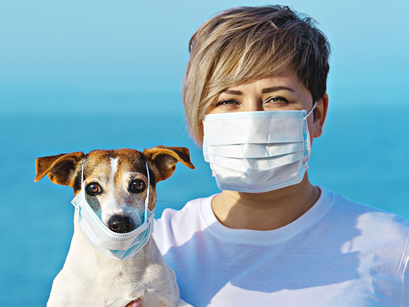 Woman in protective surgical mask holds dog pet in face mask