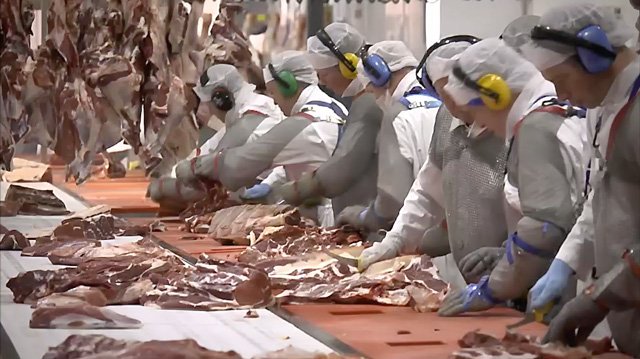 New ‘Meat Atlas’ reveals devastating global impact of meat sector