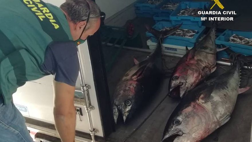 Big fines for poached fish in La Vila and Altea