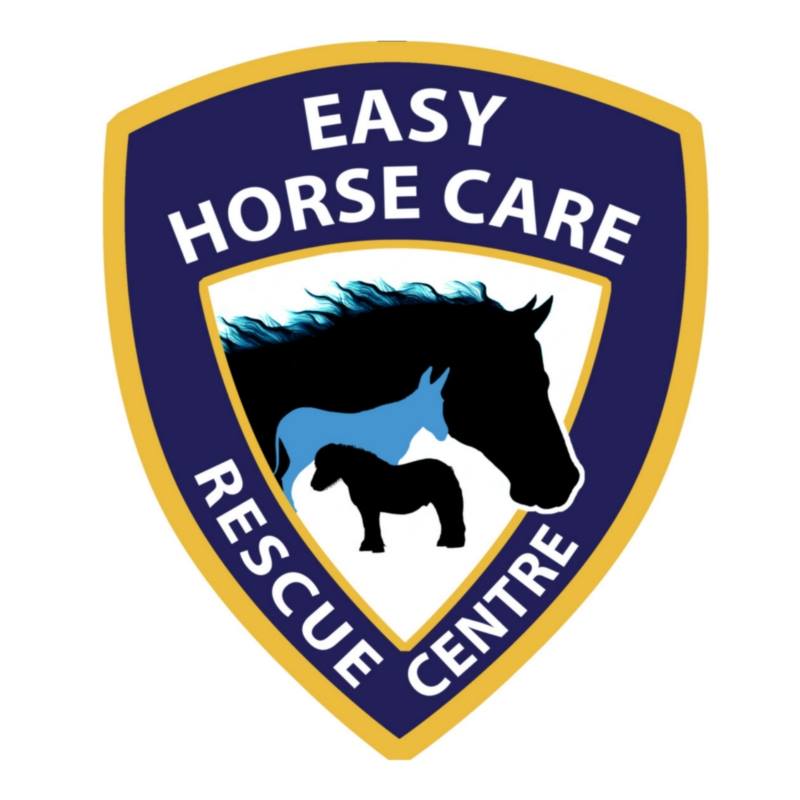 easy horse rescue centre volunteers