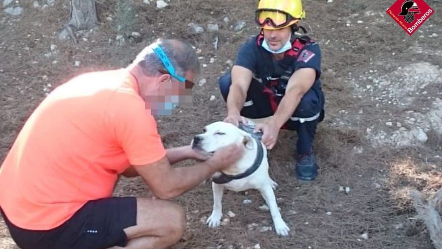 Rescue operation for exhausted dog in Alfaz