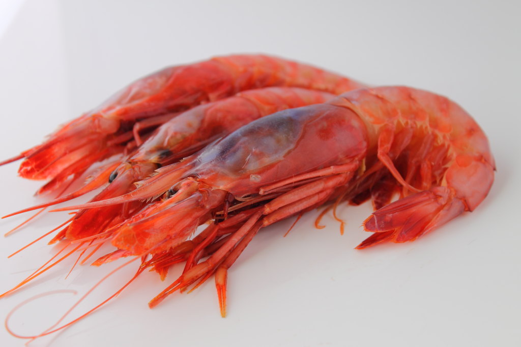 Garrucha red prawns to the fore