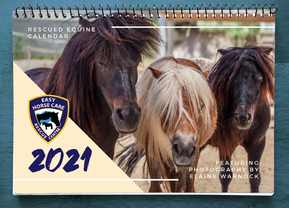 Easy Horse Calendar ready to raise much-needed funds