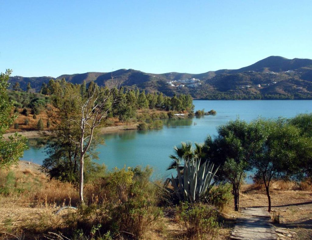 Zebra mussels invade La Viñuela reservoir