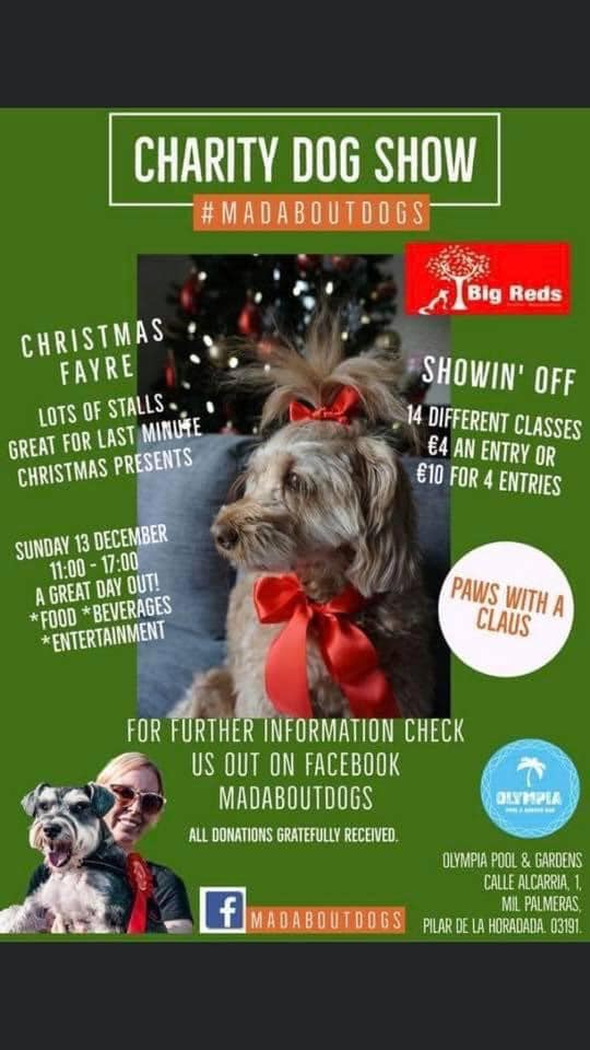Mad About Dogs Charity Show for Big Reds shoebox appeal