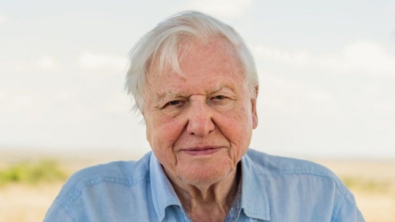 David Attenborough urges nations to act on the climate crisis
