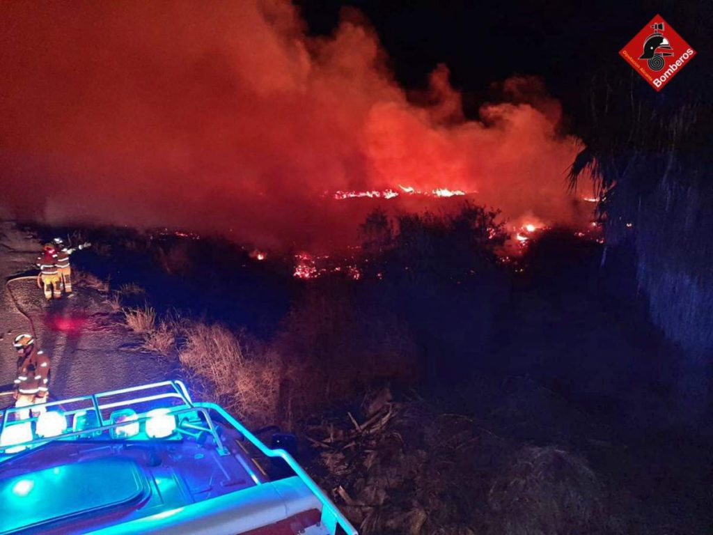 Three-hectares burn in a spectacular fire in a palm tree nursery in Elche