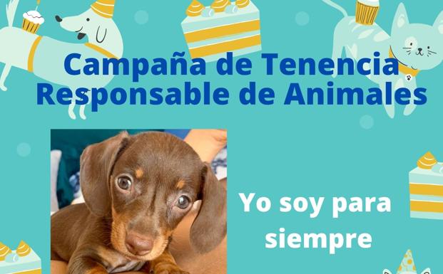 I Am Forever - town launches responsible animal ownership campaign