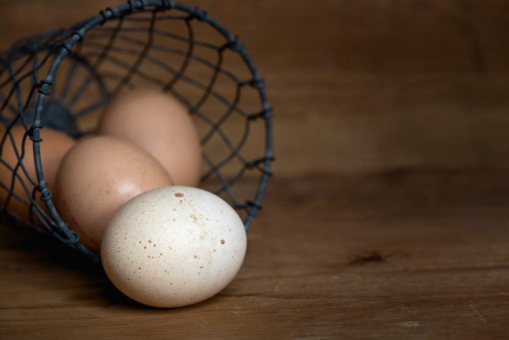 The EU investigates a large salmonella outbreak with 272 cases in six countries linked to eggs of Spanish origin