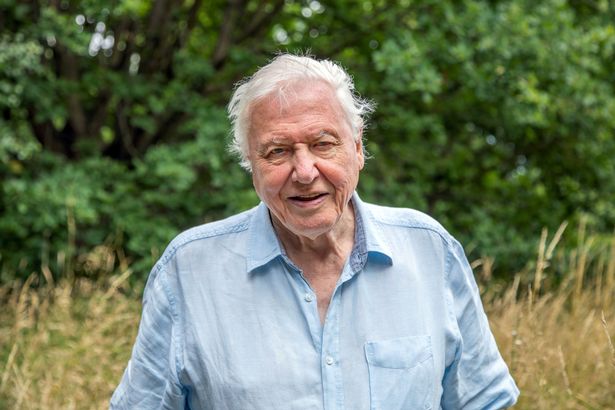 Sir David Attenborough 'Thrilled' After Receiving the Covid-19 Vaccine