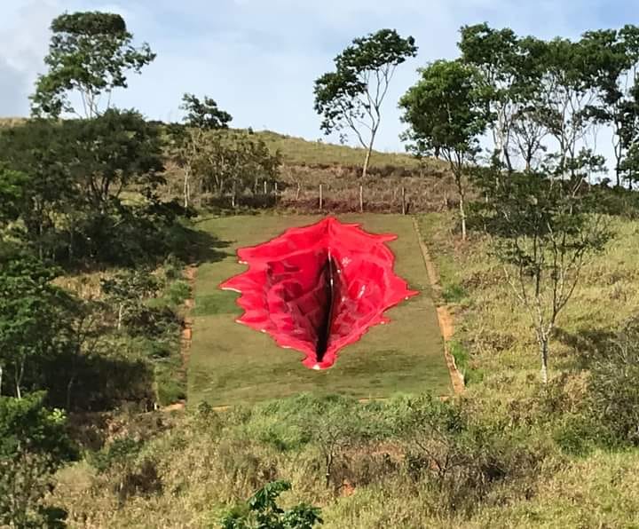 Massive sculpture of vulva sparks controversy in Brazil