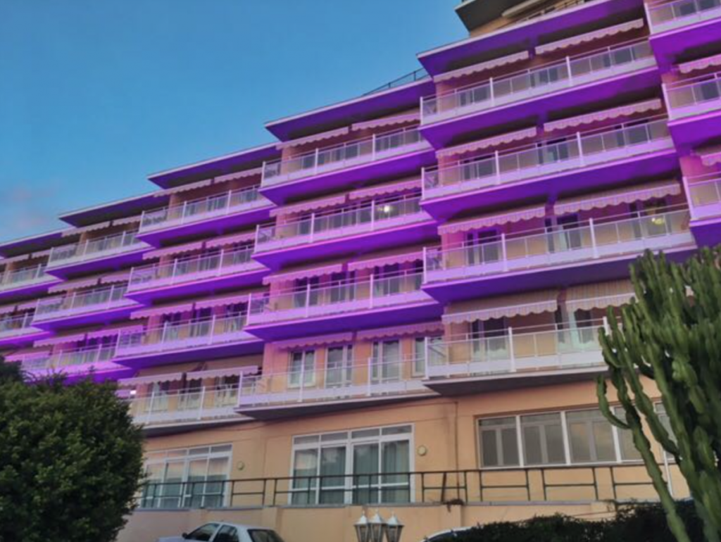 Mount Alvernia home lit in purple for World Alzheimer’s Day