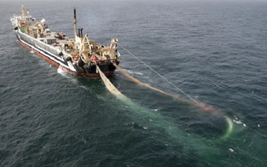 EU Super-Trawlers To Be Banned From Plundering Fish From British Waters