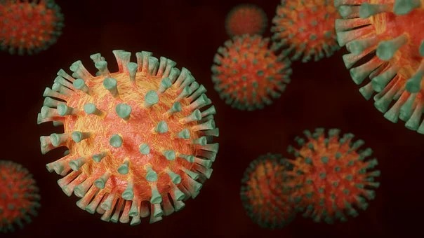 Marbella Hospital Sends Patients to Benalmádenanavirus Pandemic