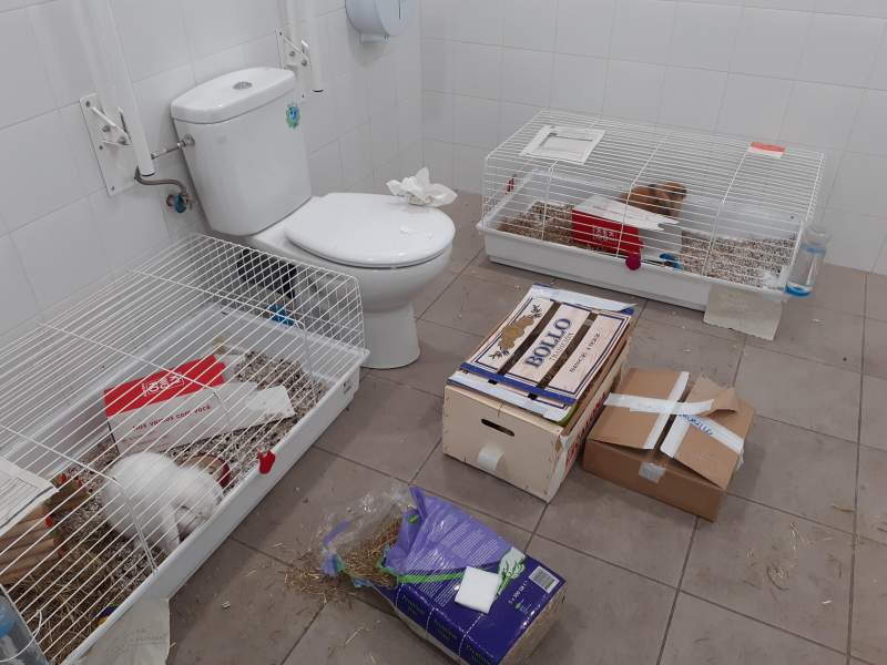 Toilet where animals are stored