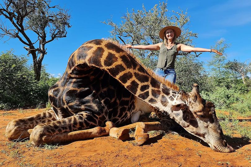 Trophy Hunter Poses For A Photo With Her 'Valentine's Gift' - The Heart Of Giraffe She Just Shot