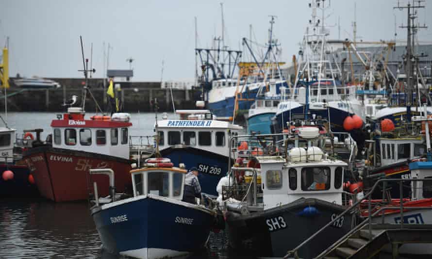 Ravaged Seafood Exporters Miss Out On £23m Post-Brexit Rescue Fund