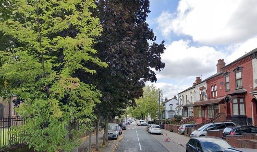 Two Young Children Mauled In The Street In Birmingham By Escaped Guard Dog