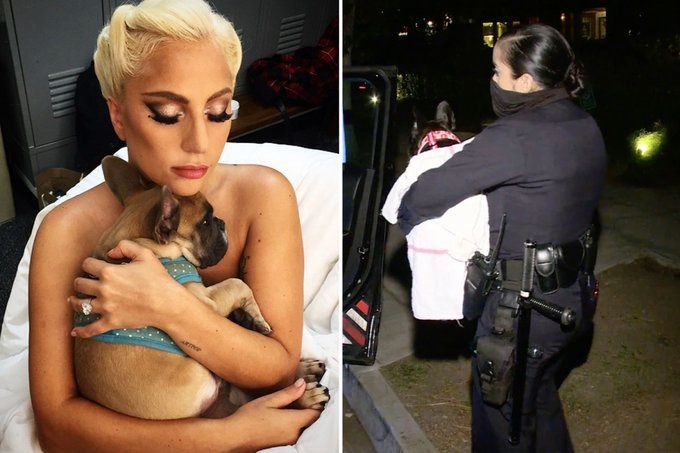 Lady Gaga’s Dogs Recovered Unharmed at L.A. Police Station