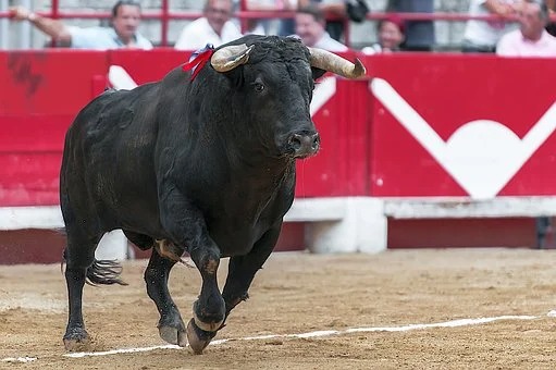Bullfighting Rally Called by Bullfighting Professionals and Enthusiasts