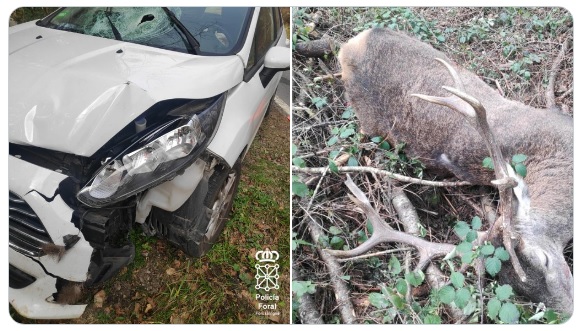 Two people injured in crash with large deer in Navarra
