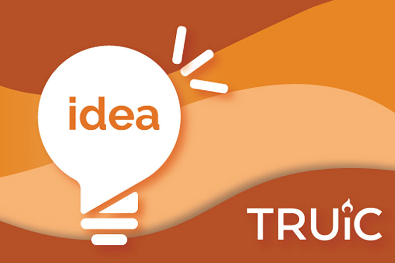 TRUiC’S Latest Simple Steps to Starting a Nonprofit in the U.S. « Euro ...