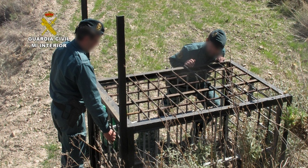 Guardia Civil Investigates More Than 300 People After 180 Animals Found Poisoned