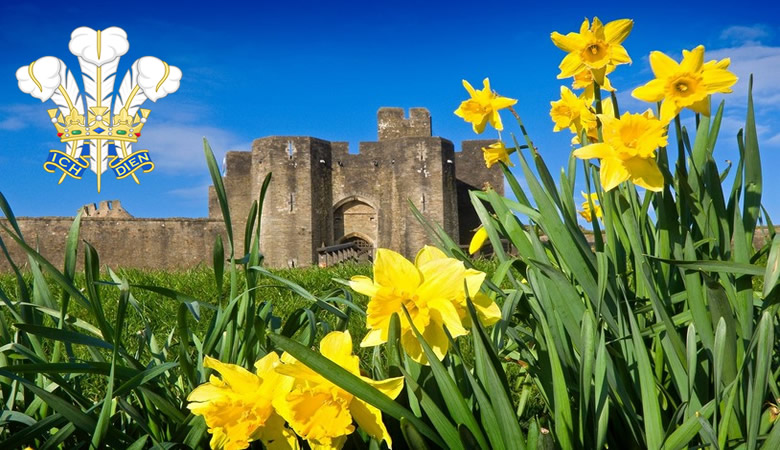 Today Is March 1st - St David's Day