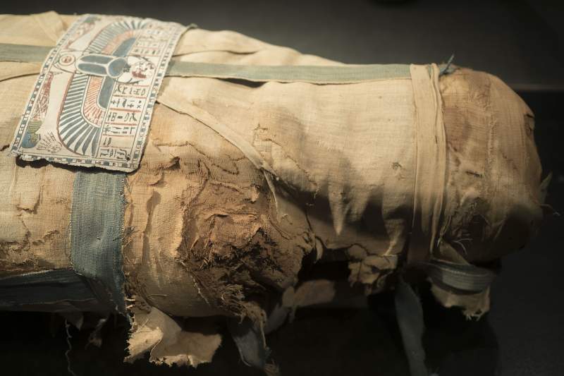 Ancient papyrus reveals unknown details about mummification