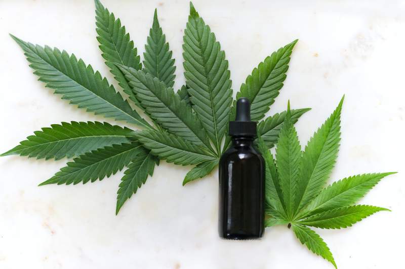 CBD Inhibits COVID-19 Replication in Human Lung Cells, Study Says