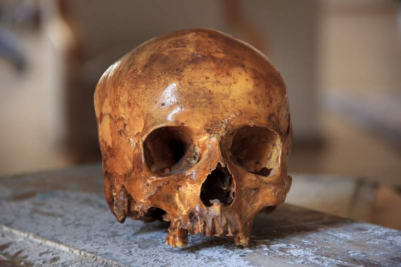 Four-year-old finds human skull in garden