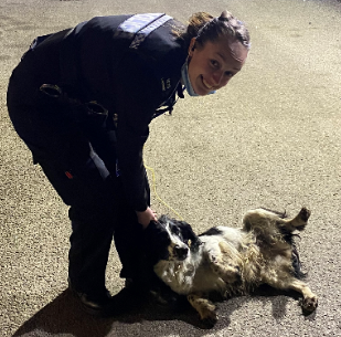 Police worked across three counties to return stolen dog to its owner