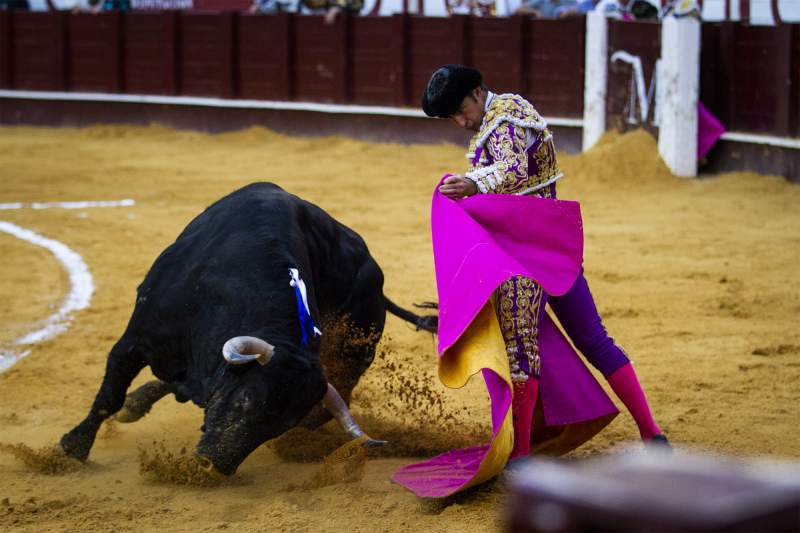 Brits in Spain Speak Out After Andalucia Offers €4M to Help Bullfighting