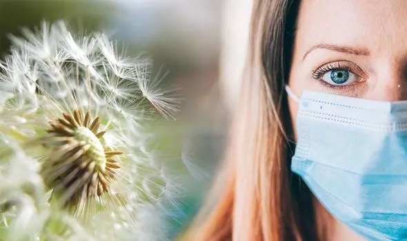 Pollen Levels In Spain Rise But Masks Help Sufferers With Allergic Reactions