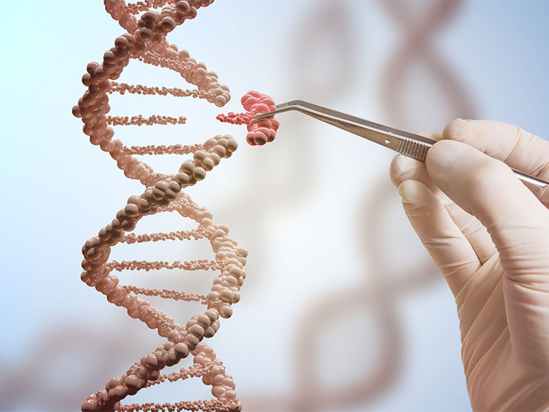 How CRISPR Gene Editing Might Change Humanity
