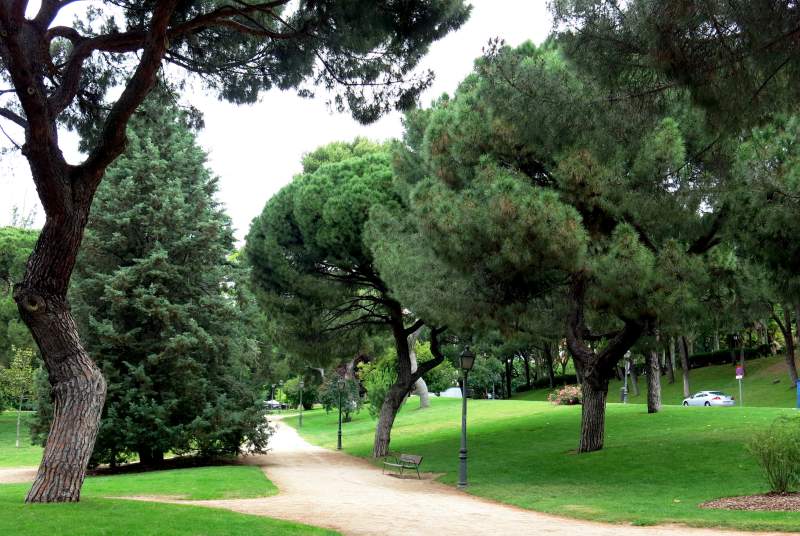 Thirteen arrests after young girl is sexually assaulted in Madrid park