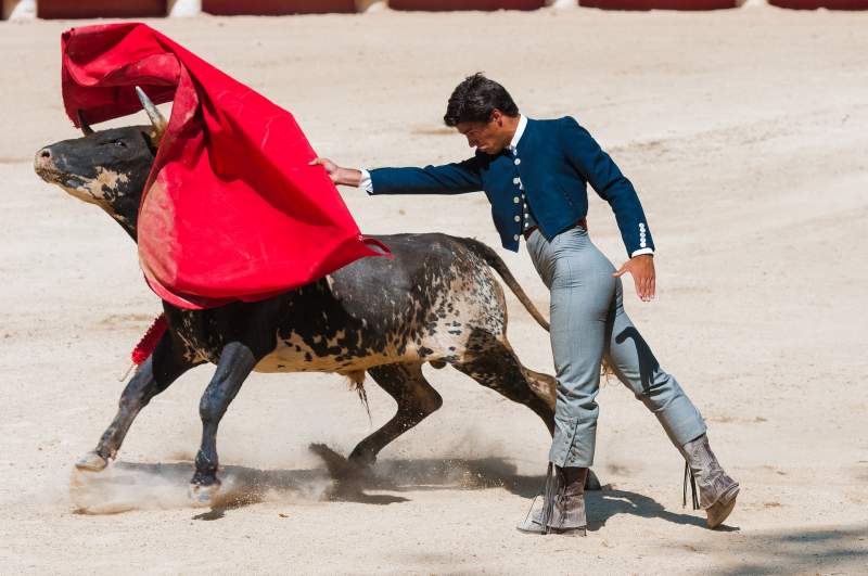 Bullfights To Be Held For The Next Five Years